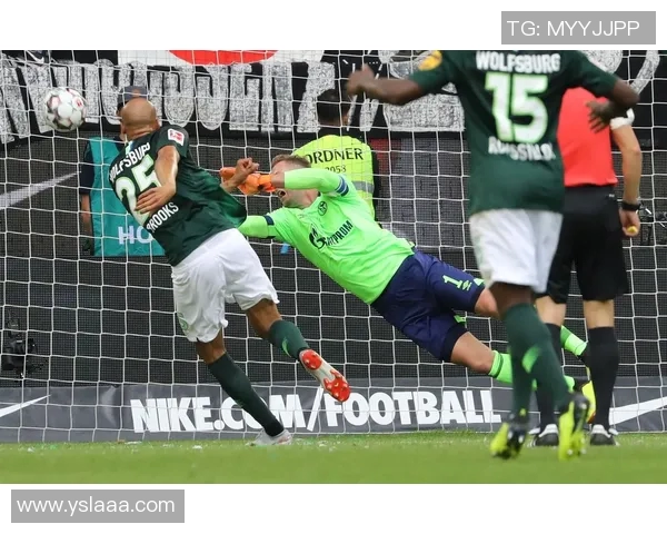 沙尔克04力克沃尔夫斯堡，主场胜利德甲首秀